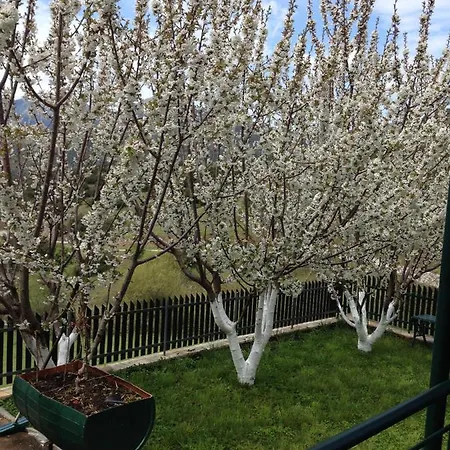 Polytimi House * كالافريتا