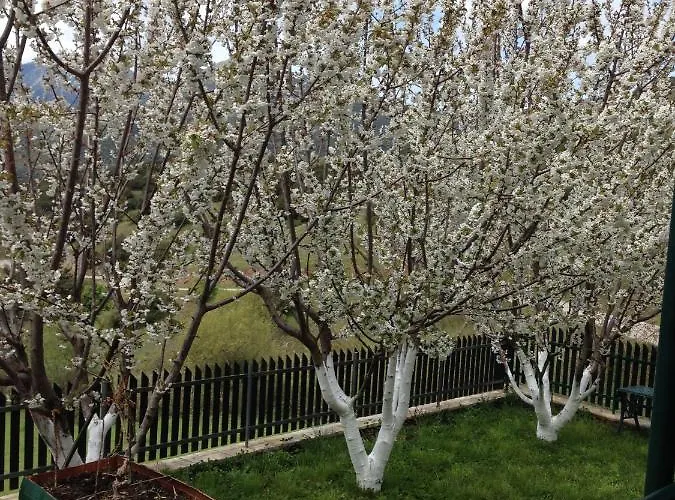 Polytimi House * كالافريتا